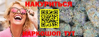 сатива Новозыбков