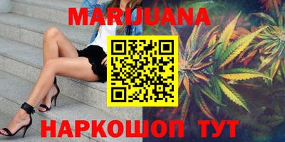 сатива Новозыбков