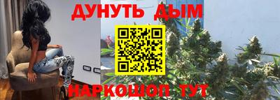 сатива Новозыбков